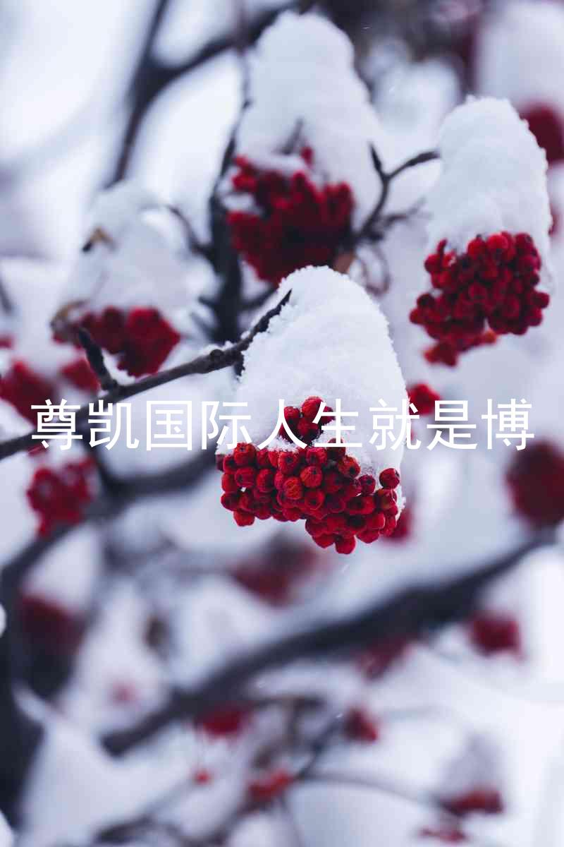 尊凯国际人生就是博