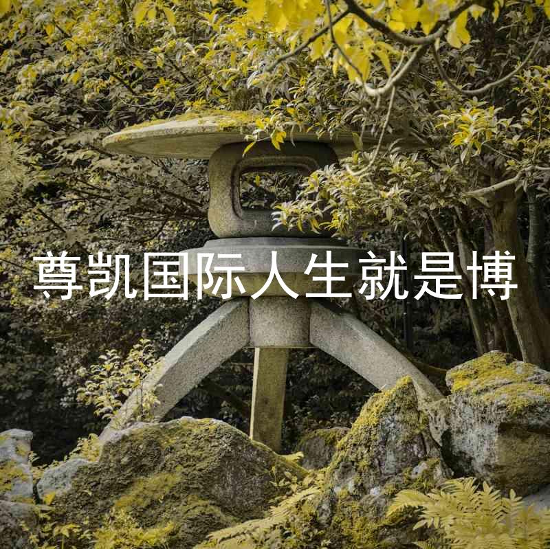 尊凯国际人生就是博