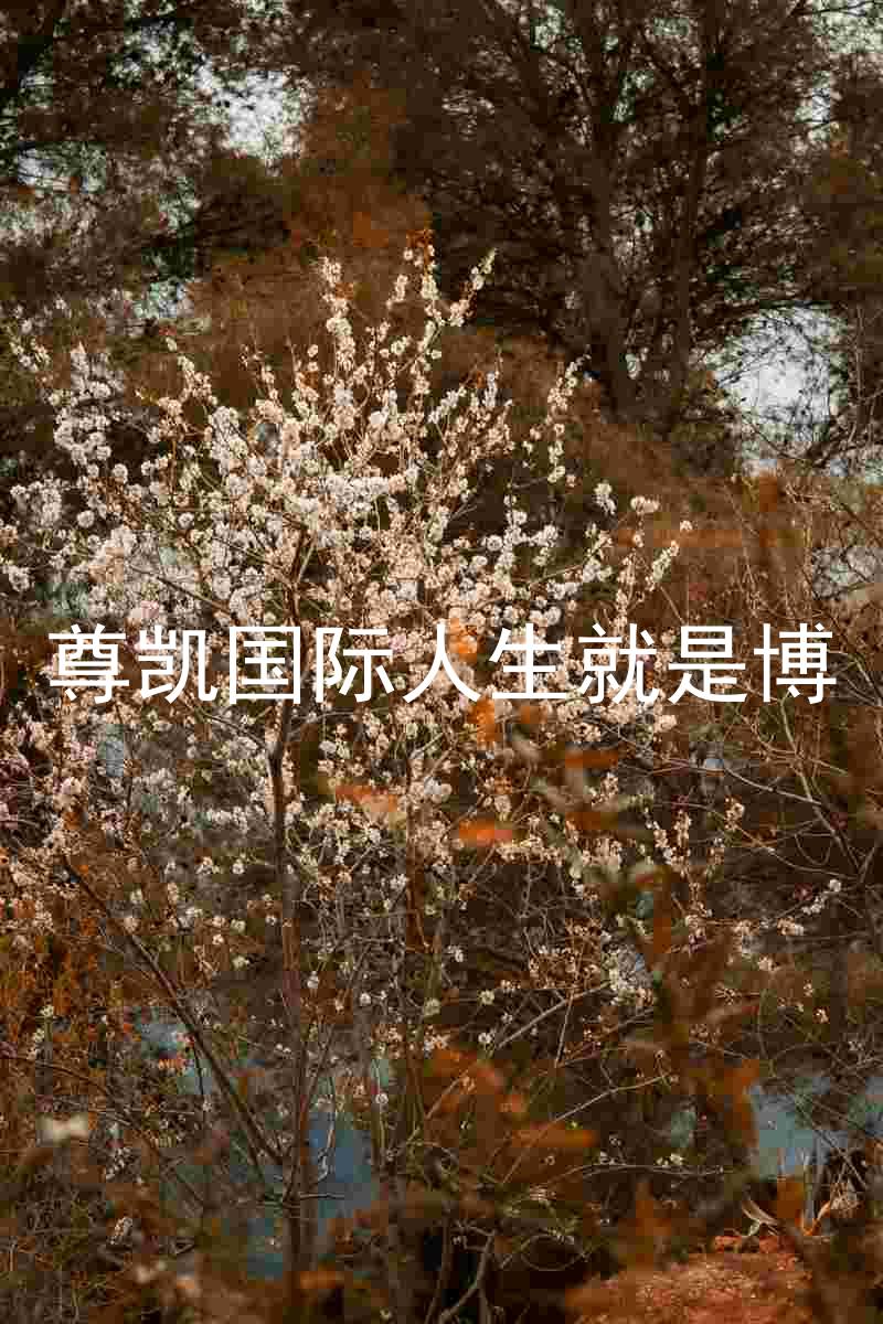 尊凯国际人生就是博